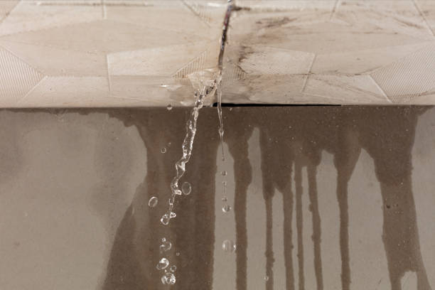 Professional Sewage Cleanup technician working in Inwood, FL